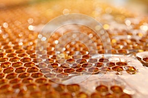 Uncapped filled honeycomb as background, closeup view