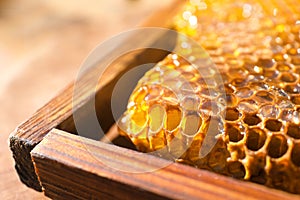 Uncapped honeycomb frame on blurred background, closeup