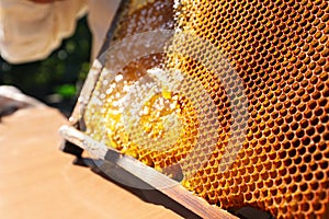Uncapped honeycomb frame on wooden table outdoors, closeup
