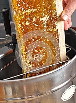 Uncapped honeycomb in honey extractor
