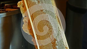 Uncapping frame of honey