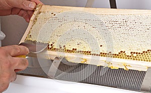Uncapping of honeycomb at plastic tub