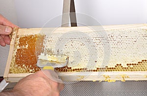 Uncapping of honeycomb at plastic tub