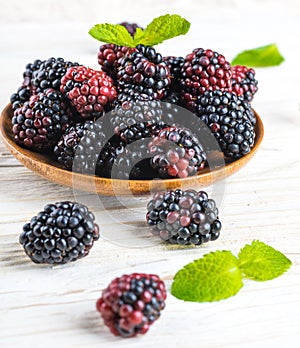 Ãâunch of wild berries photo