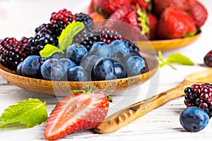 Ãâunch of wild berries