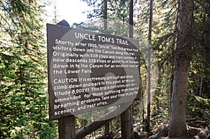 Uncle Tom`s Trail in Yellowstone National Park consists of very steep stairs to get to the Lower Yellowstone Falls