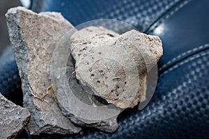 Uncleaned fragments of ceramic vessels and a sinker of the Dyakov type found in an ancient settlement