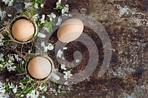 Uncolored natural easter eggs in green espresso cups, happy easter concept with white spring flowers photo