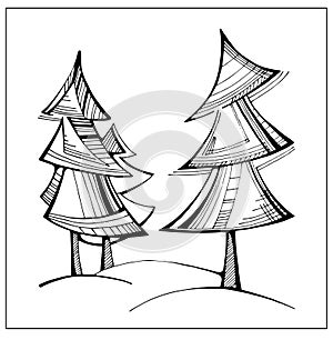 Uncolored stylized fir-tree. Vector hand drawn artwork photo