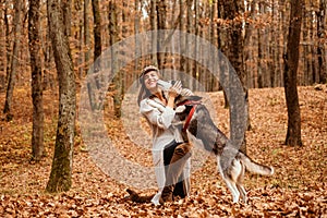 Unconditional love. Girl enjoy walk with husky dog. Siberian husky favorite pet. Animal husbandry. Girl pretty stylish