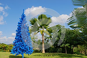 Unconventional blue christmas tree in green tropical garden with palm tree and mountain in the background, blue color concept