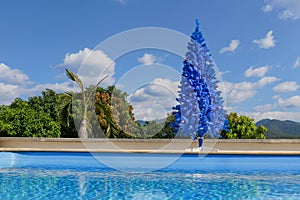 Unconventional blue christmas tree in green tropical garden with swimming pool