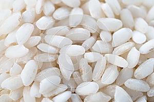 Uncooked arborio rice