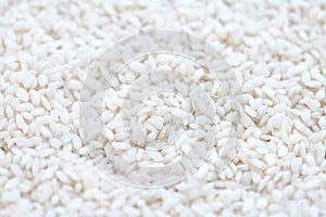 Uncooked arborio rice