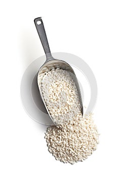 The uncooked arborio rice