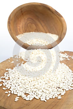 Uncooked arborio rice
