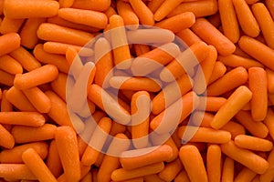 Uncooked Baby Carrots photo