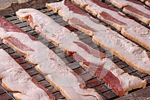 Uncooked Bacon Prepared to Bake