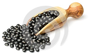 Uncooked black beans in the wooden scoop, isolated on the white background