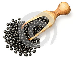 Uncooked black beans in the wooden scoop, isolated on the white background, top view