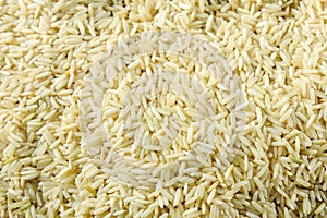 Uncooked Brown rice grains