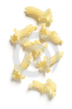 Uncooked Campanelle or Gigli Pasta on White Background