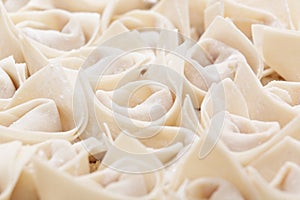 Uncooked chinese meat dumpling