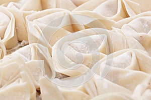 Uncooked chinese meat dumpling