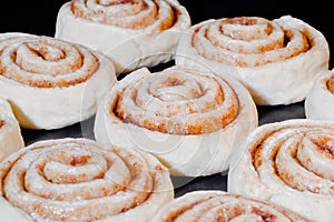 Uncooked cinnamon buns baking in electric oven: close up