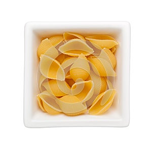 Conchiglie pasta