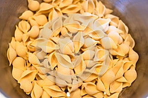 uncooked conchiglie rigate pasta in saucepan
