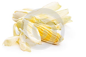 Uncooked corn cob
