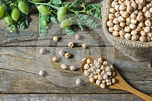 Uncooked dried chickpeas in burlap sack with raw green chickpea pod plant on wooden table