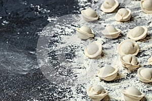 uncooked dumplings pelmeni. homemade raw ravioli, Meat Dumplings banner, menu, recipe place for text, top view