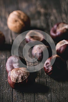 Uncooked edible chestnuts