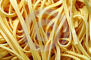 Uncooked egg noodles, macro