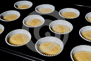 Uncooked homemade cupcakes, muffins in electric oven