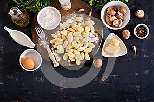 Uncooked homemade Gnocchi with a mushroom cream sauce and parsley