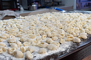 Uncooked homemade potato gnocchi