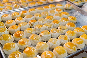 Uncooked Hopia on a Pan at a Bakery in Southeast Asia