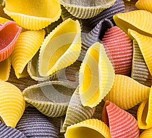 Uncooked Italian conchiglie pasta