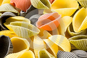 Uncooked Italian conchiglie pasta