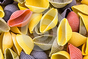 Uncooked Italian conchiglie pasta