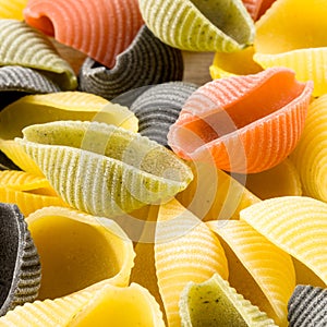 Uncooked Italian conchiglie pasta