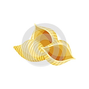 Uncooked Italian conchiglie. Pasta in shape of sea shells. Culinary theme. Detailed flat vector design