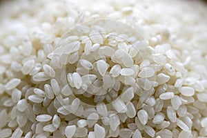 Uncooked italian rice, white background