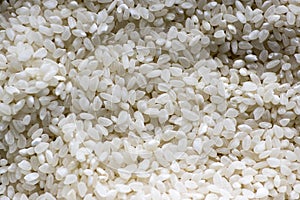 Uncooked italian rice, white background