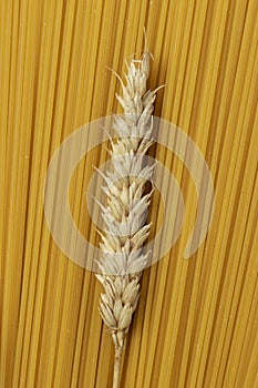 Uncooked Italian spaghetti and a wheat spikelet.