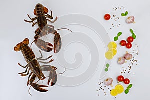 Uncooked lobsters isolated on white background with spices