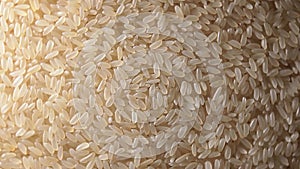 Uncooked Long Grain Parboiled Rice, Rotating Background - Top View
